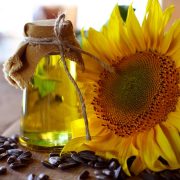 Crude sunflower oil unrefined